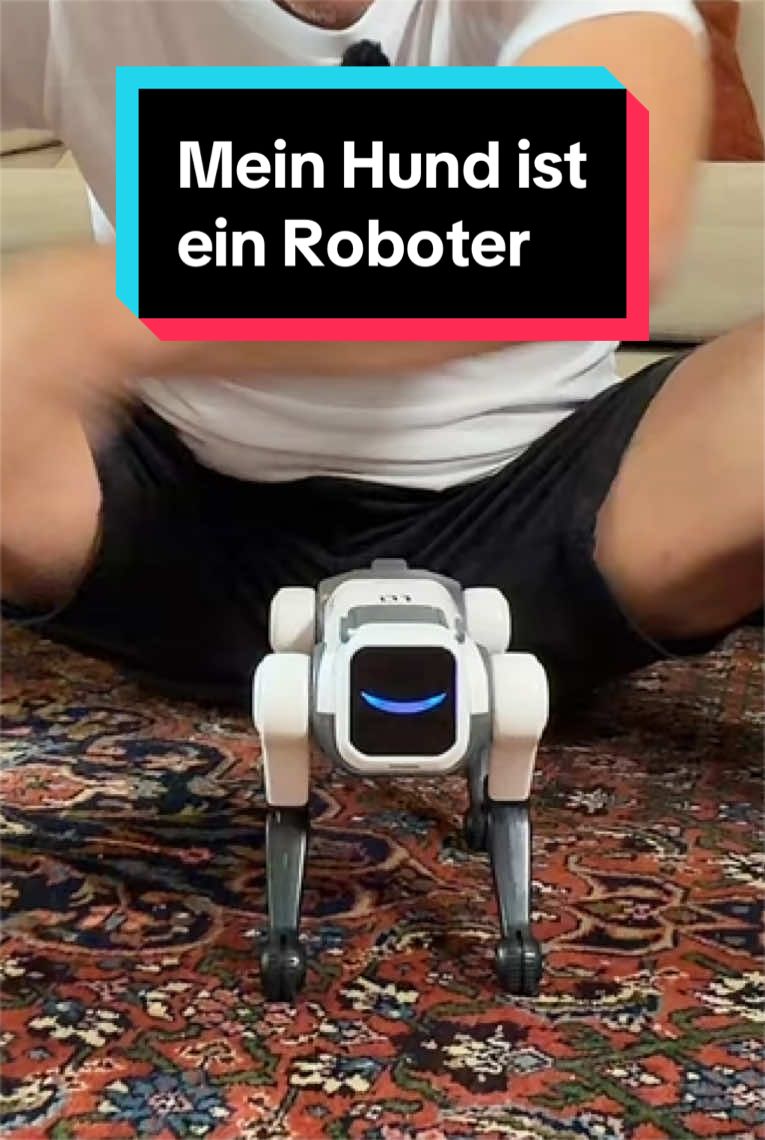 @MaximNoise