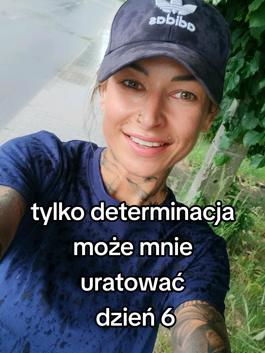 @wiksiii_fit_bus