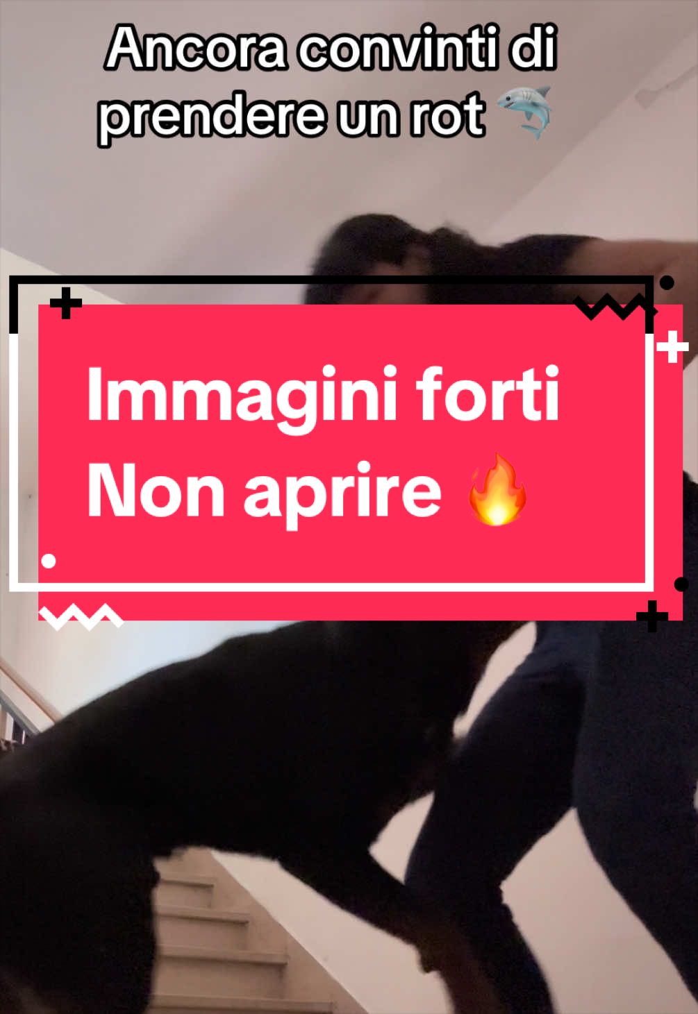 @Le avventure di Thor 🌪️ w ❤️