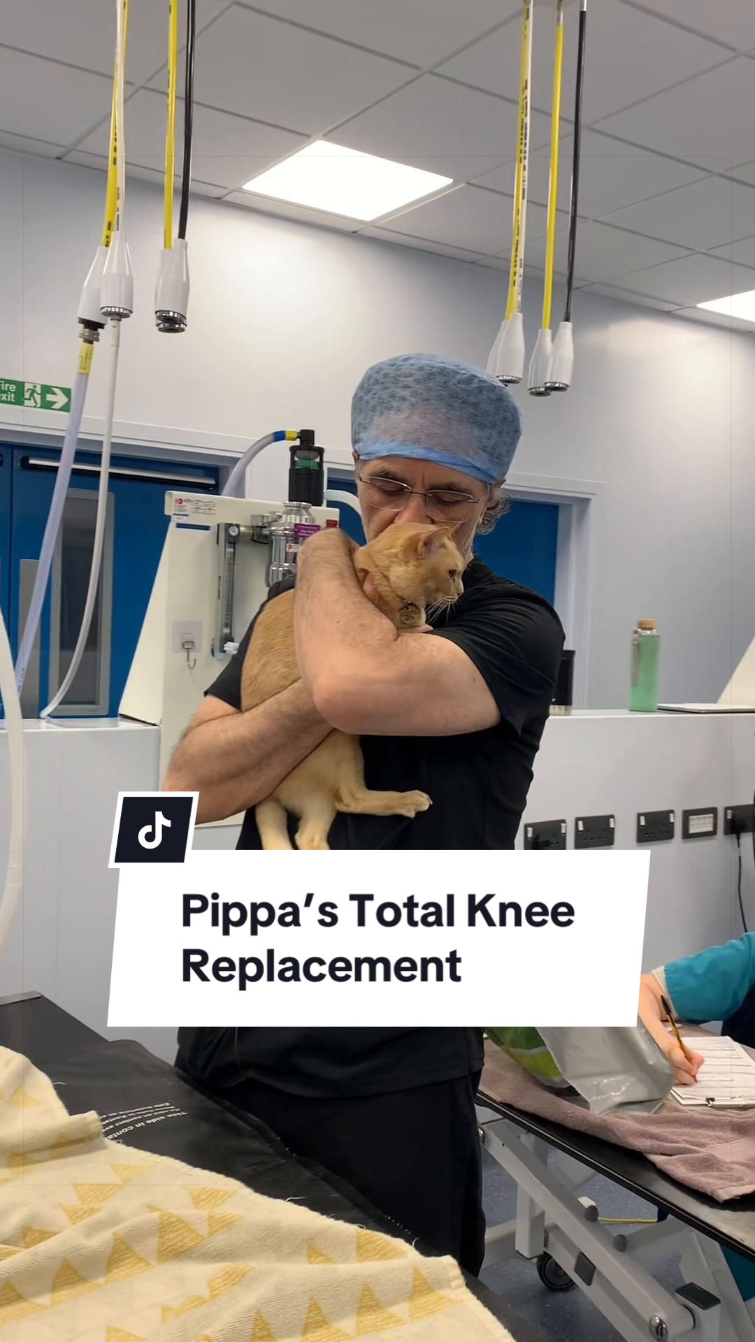 @profnoelfitzpatrick