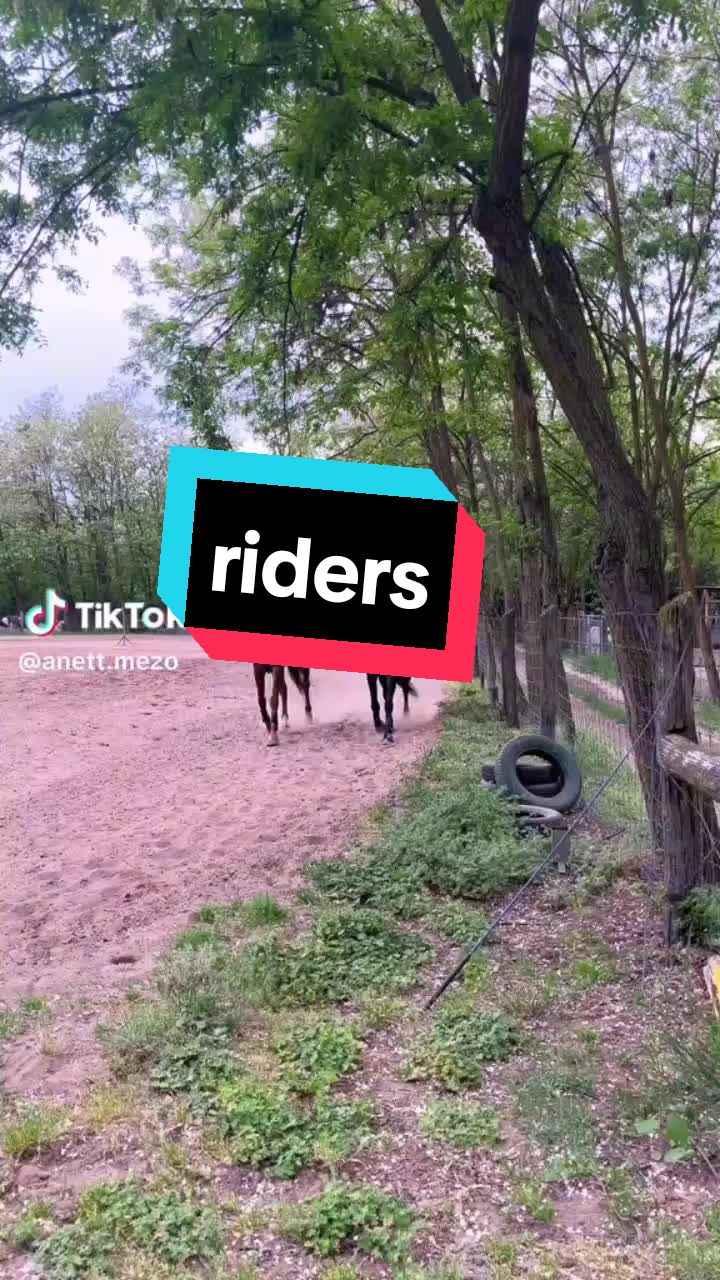 @golden_rider🤍