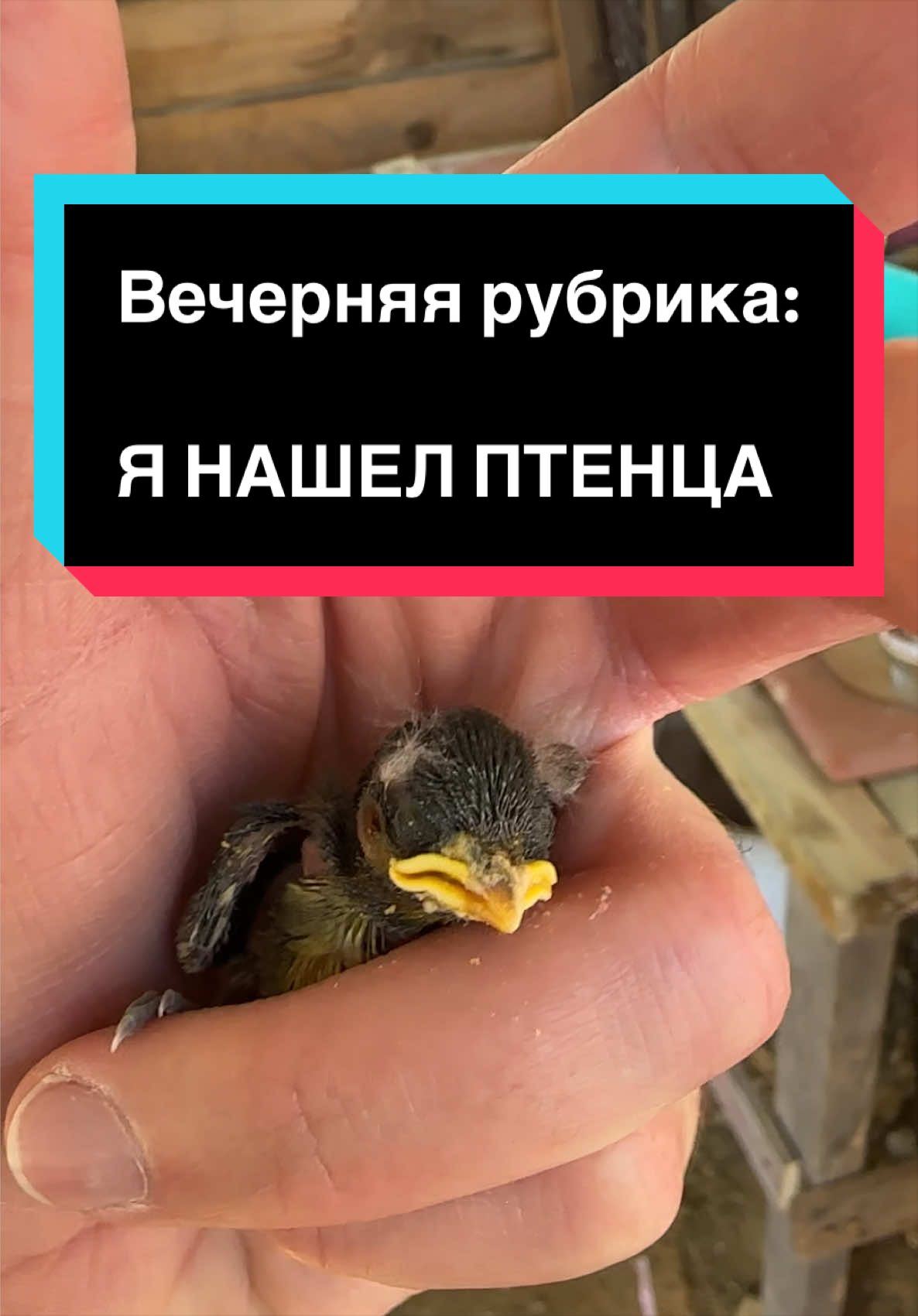 @Ян 🏳️&zwj;⚧️