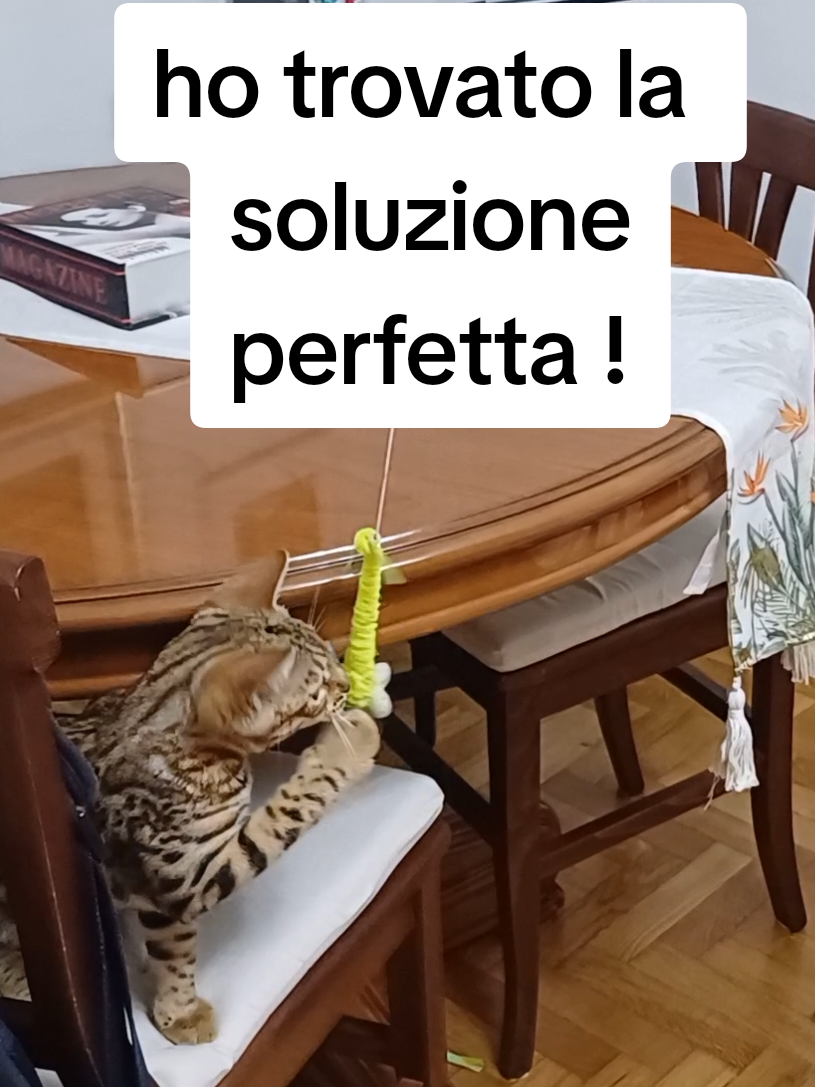 @Rio.supercat