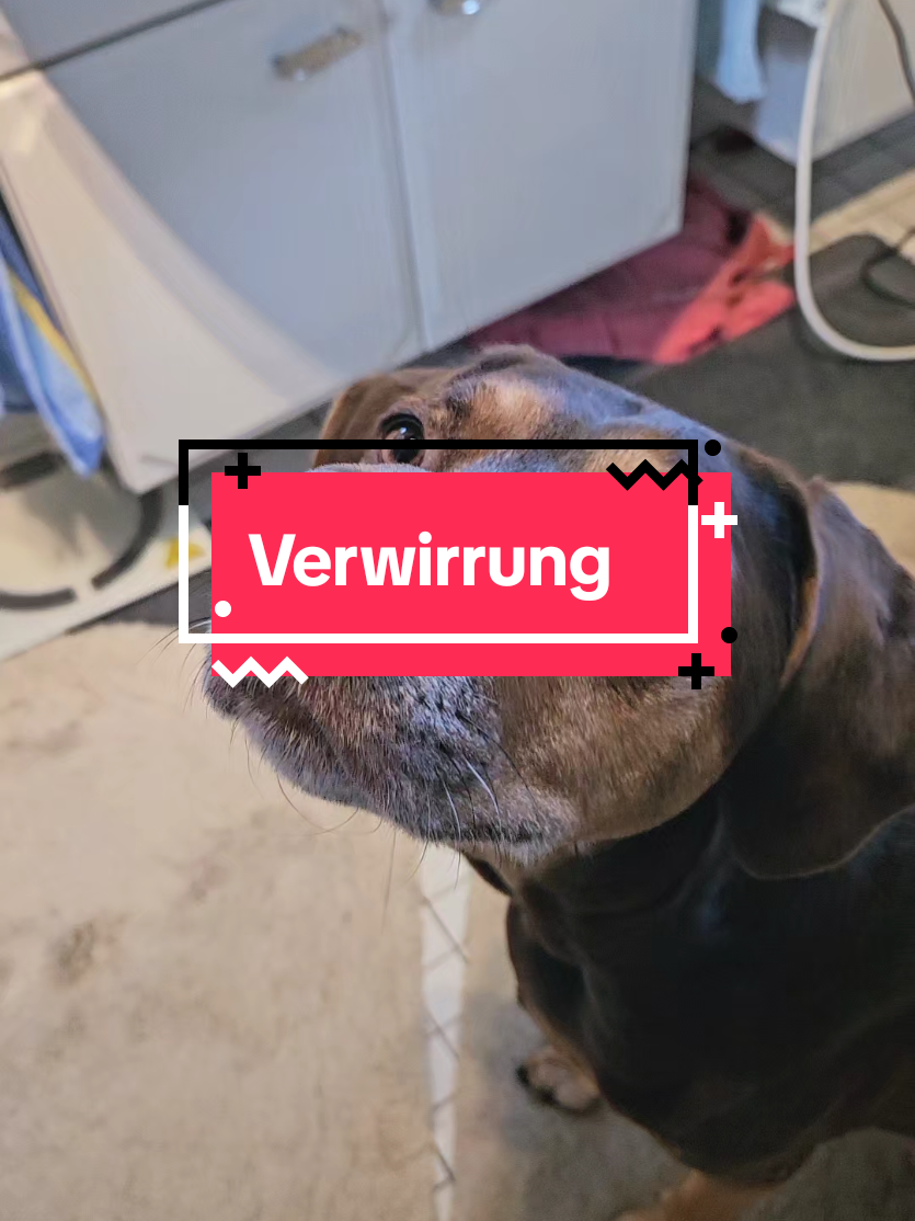 @Paddy und Sally