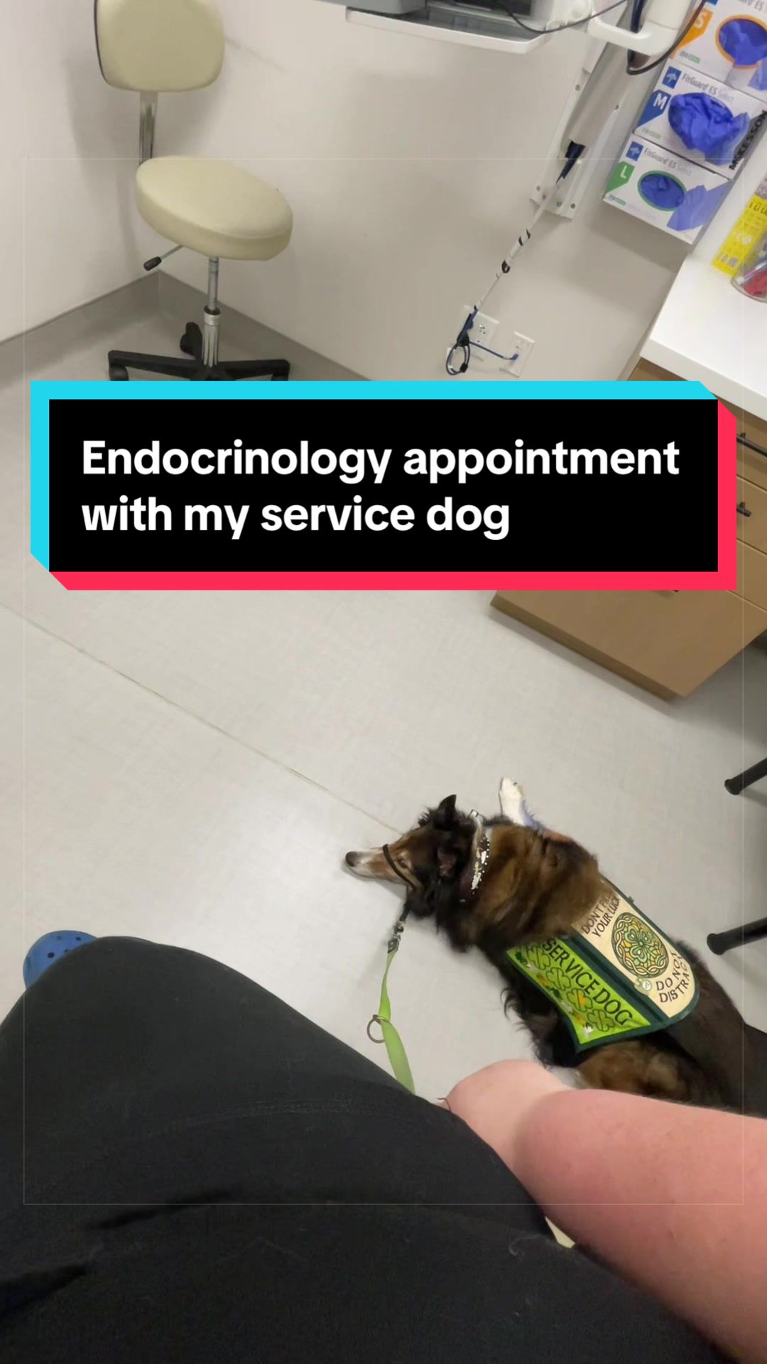 @Dakota & Pups