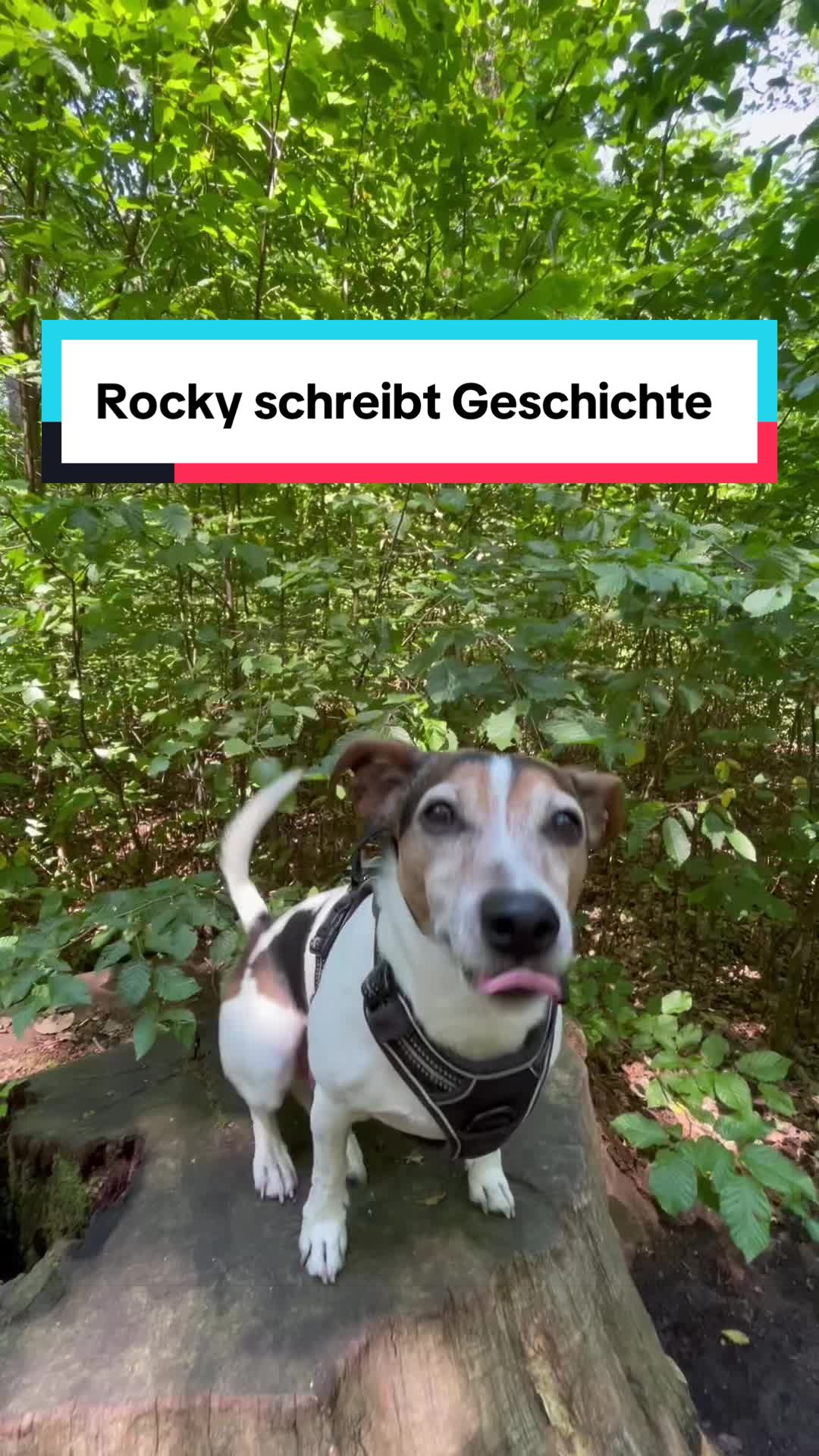 @Rocky und ich