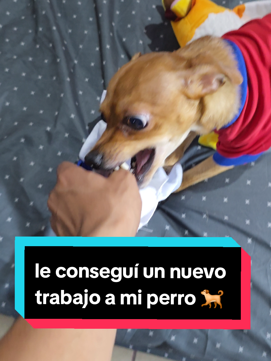 @coco el enoj&oacute;n 🐶 ❤️
