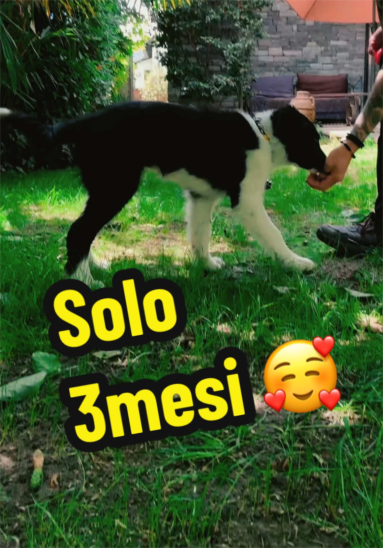 @𝐉𝐀𝐃𝐄 𝐉𝐀𝐘