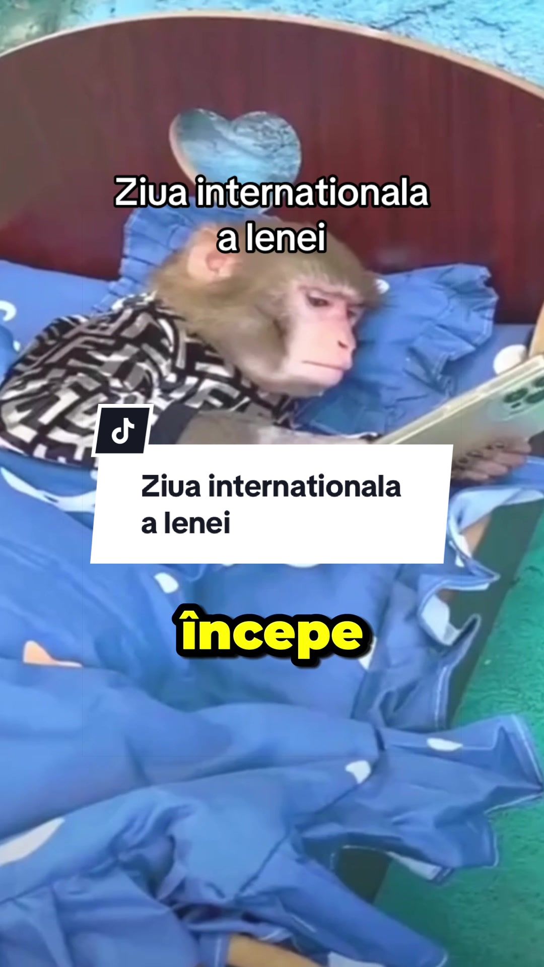 @CostiCuriosul