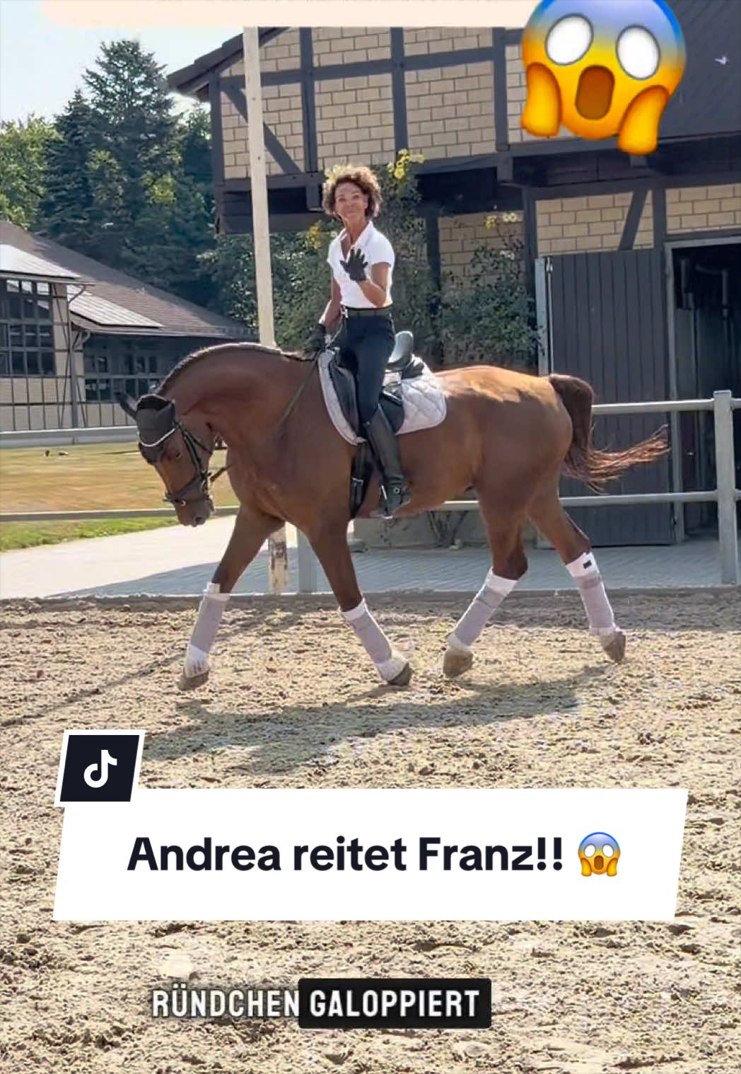 @franziskaelea