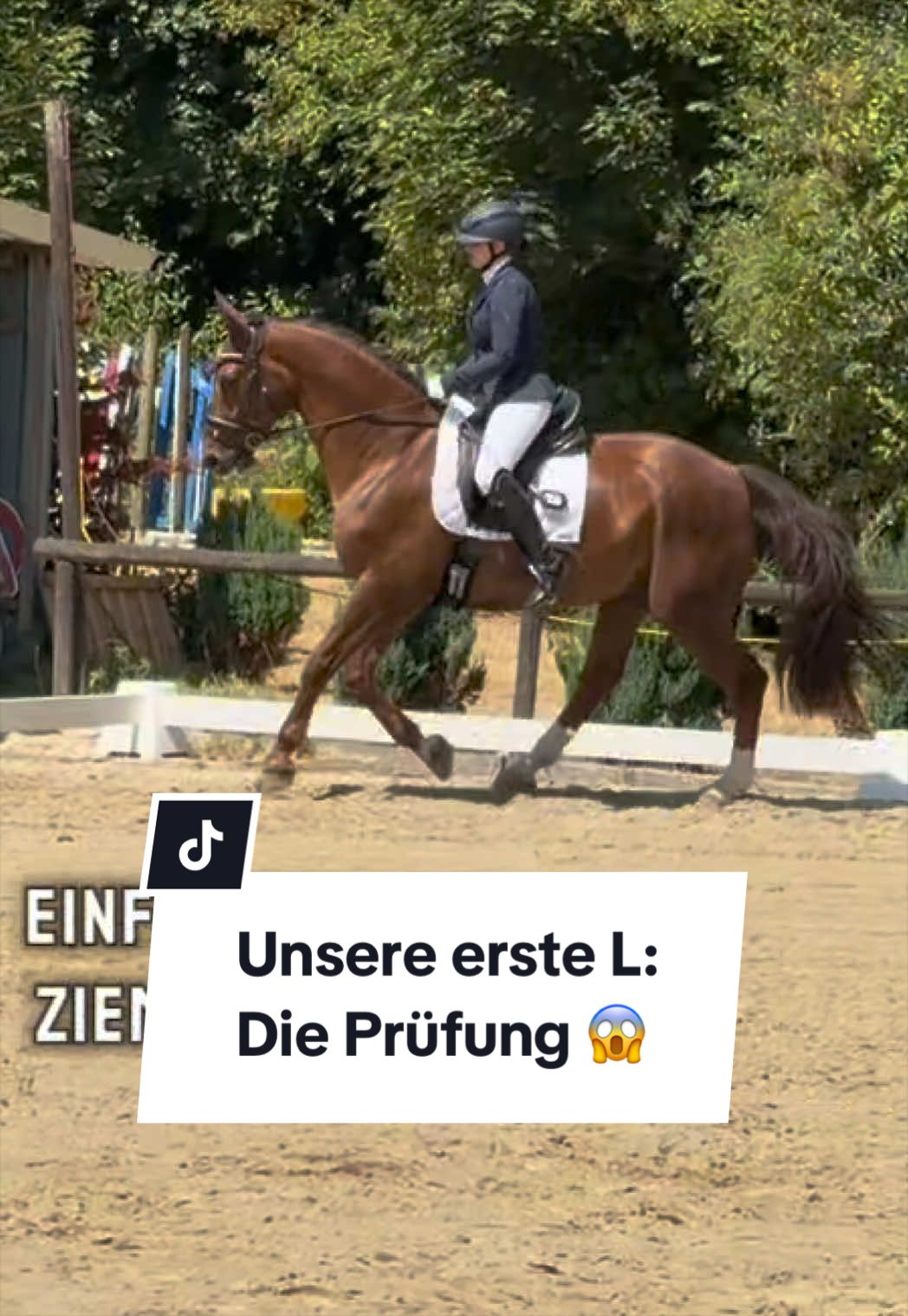 @franziskaelea