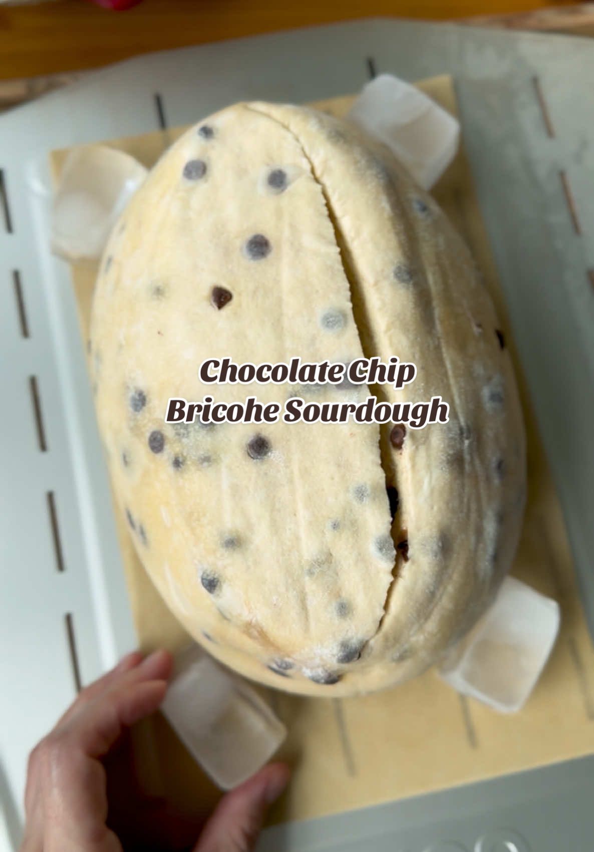 @Shebakesourdough