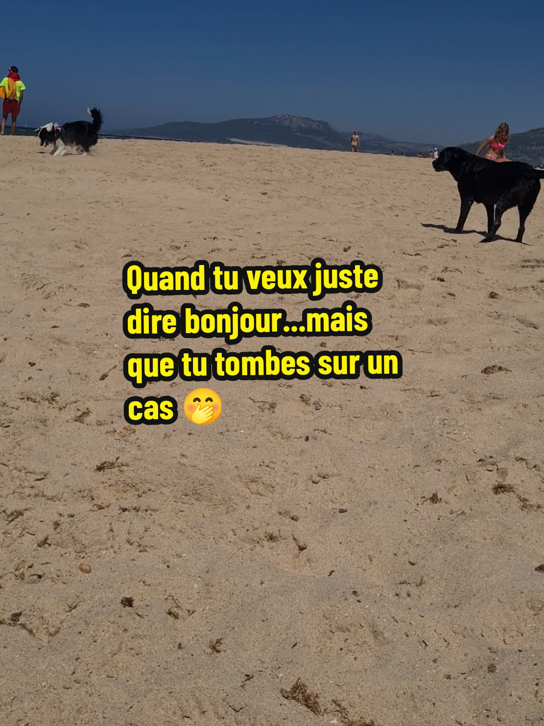 @Avec mes âmes libres