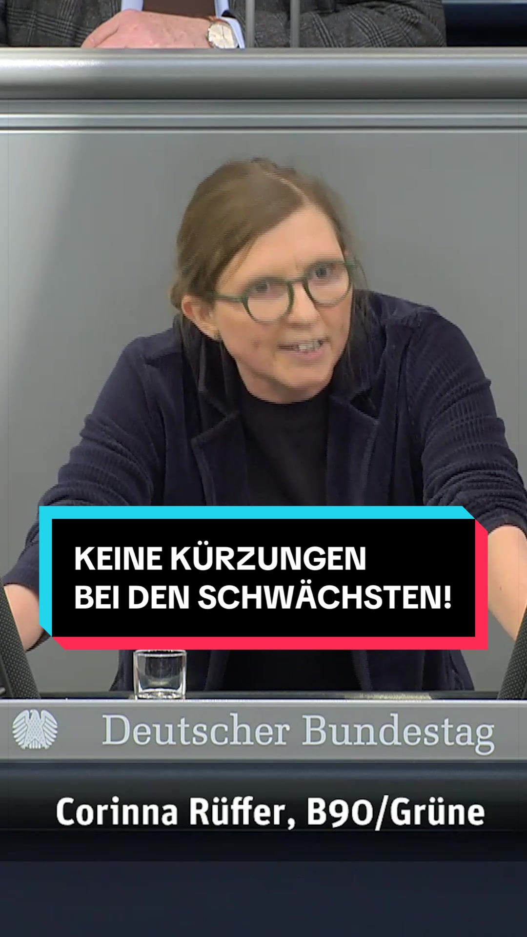 @Gr&uuml;ne im Bundestag
