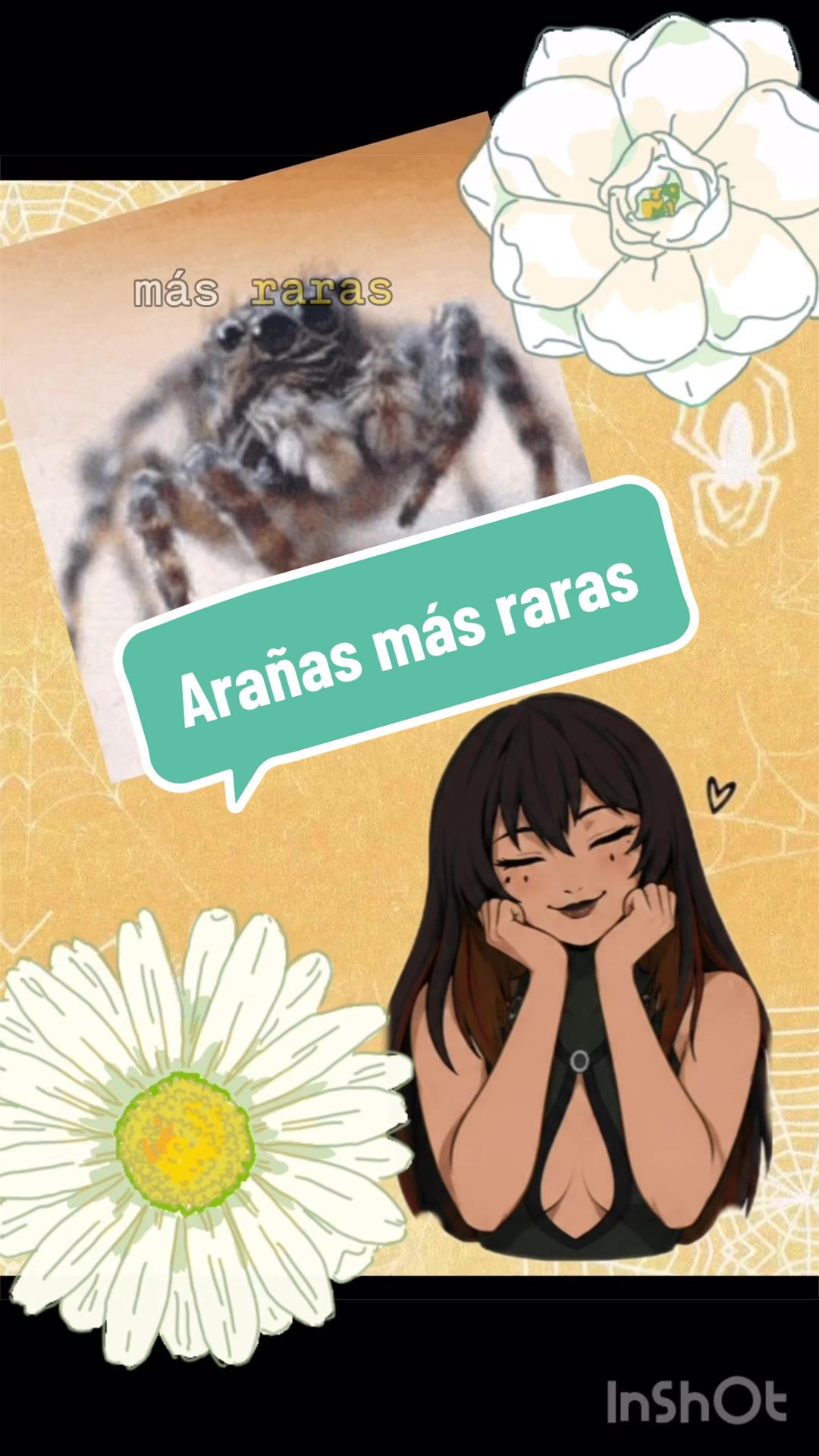 @LadySpider