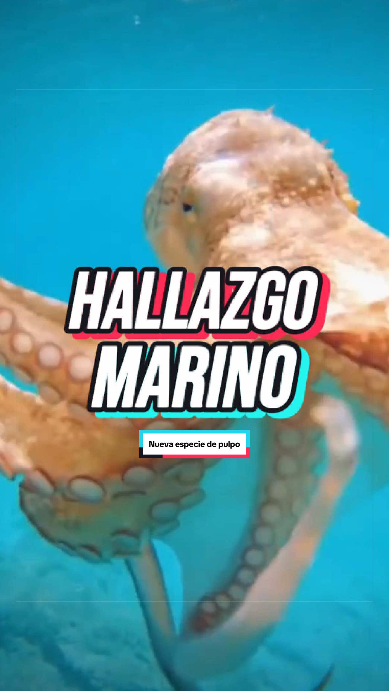 @ArchivoXtra&ntilde;o