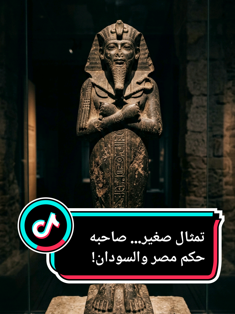 @dna_history0