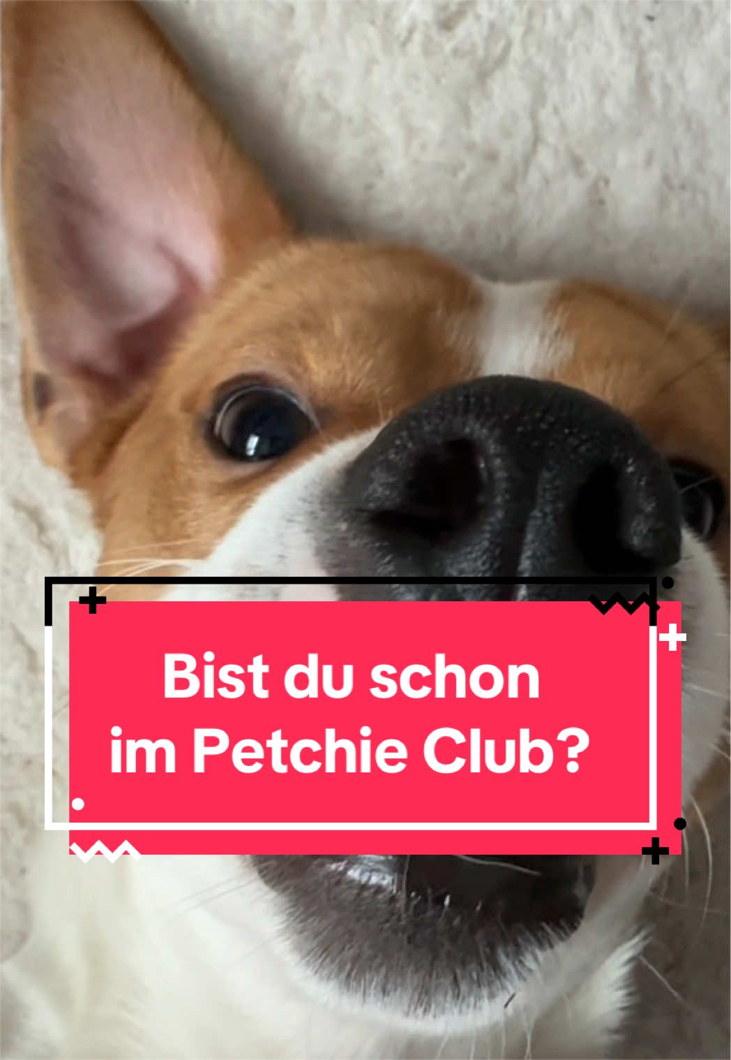 @Petch.Community