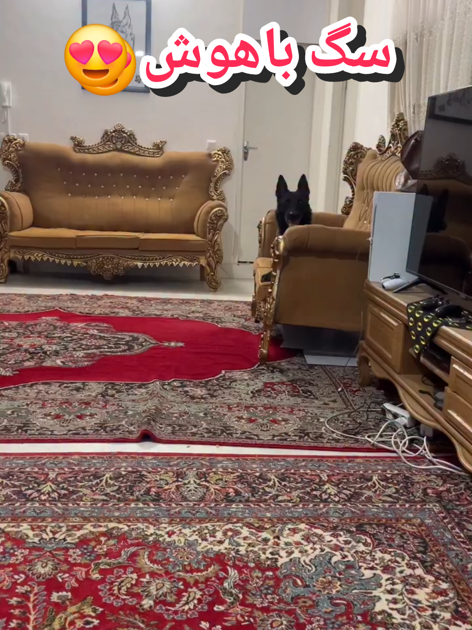 @persian_music