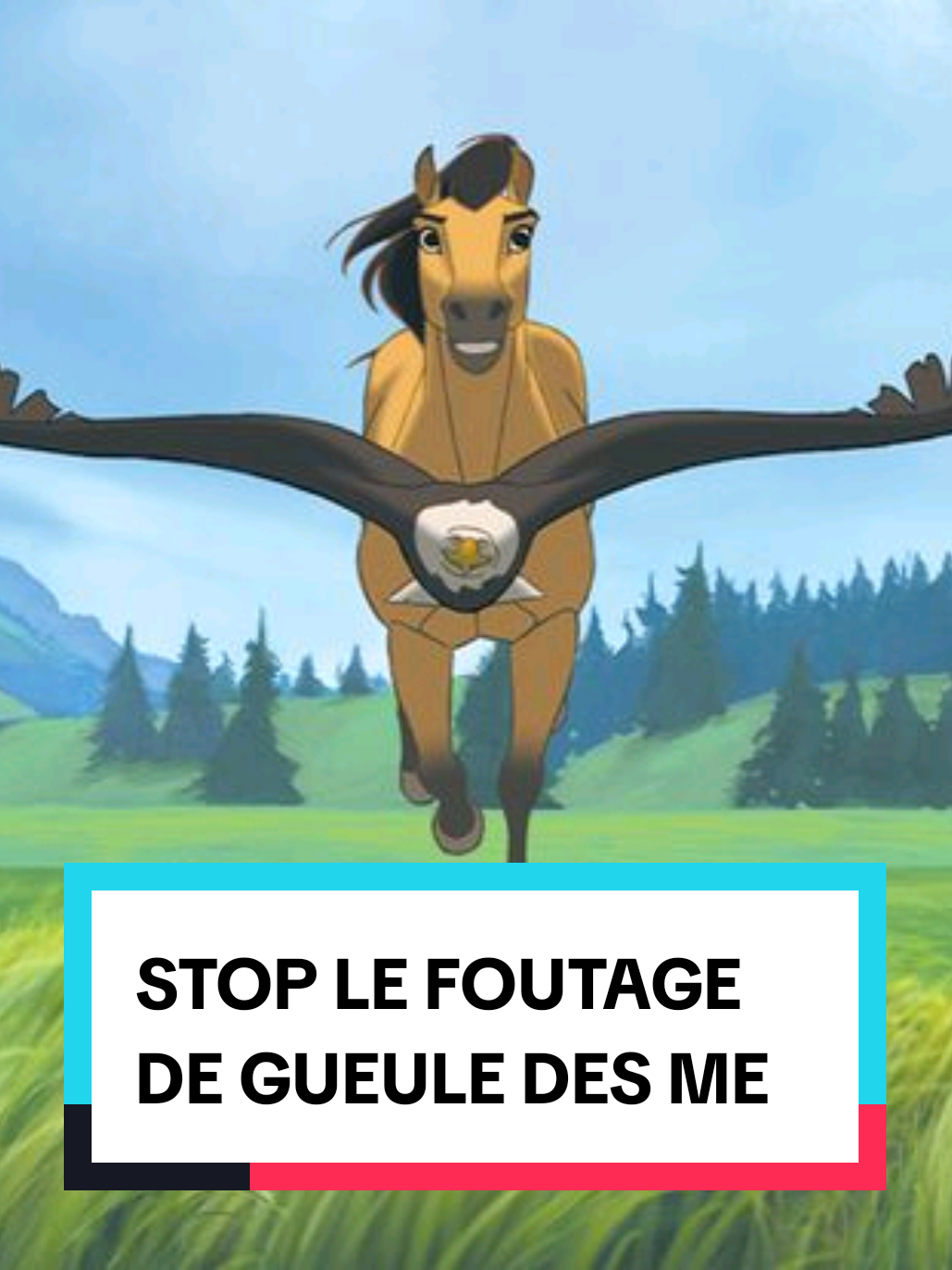 @Nana 🇨🇵