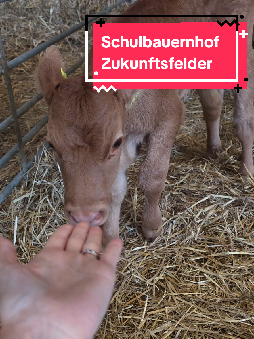 @Steffi Biedermann