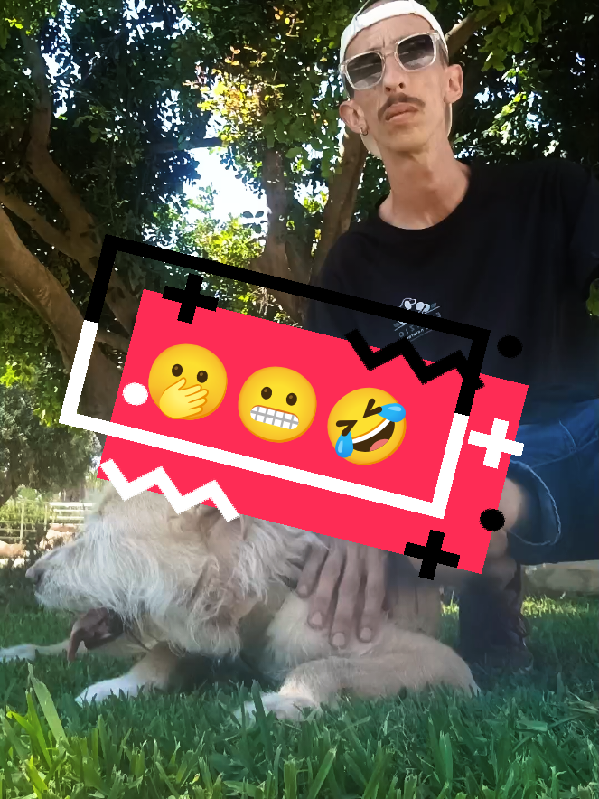 @Elfazio