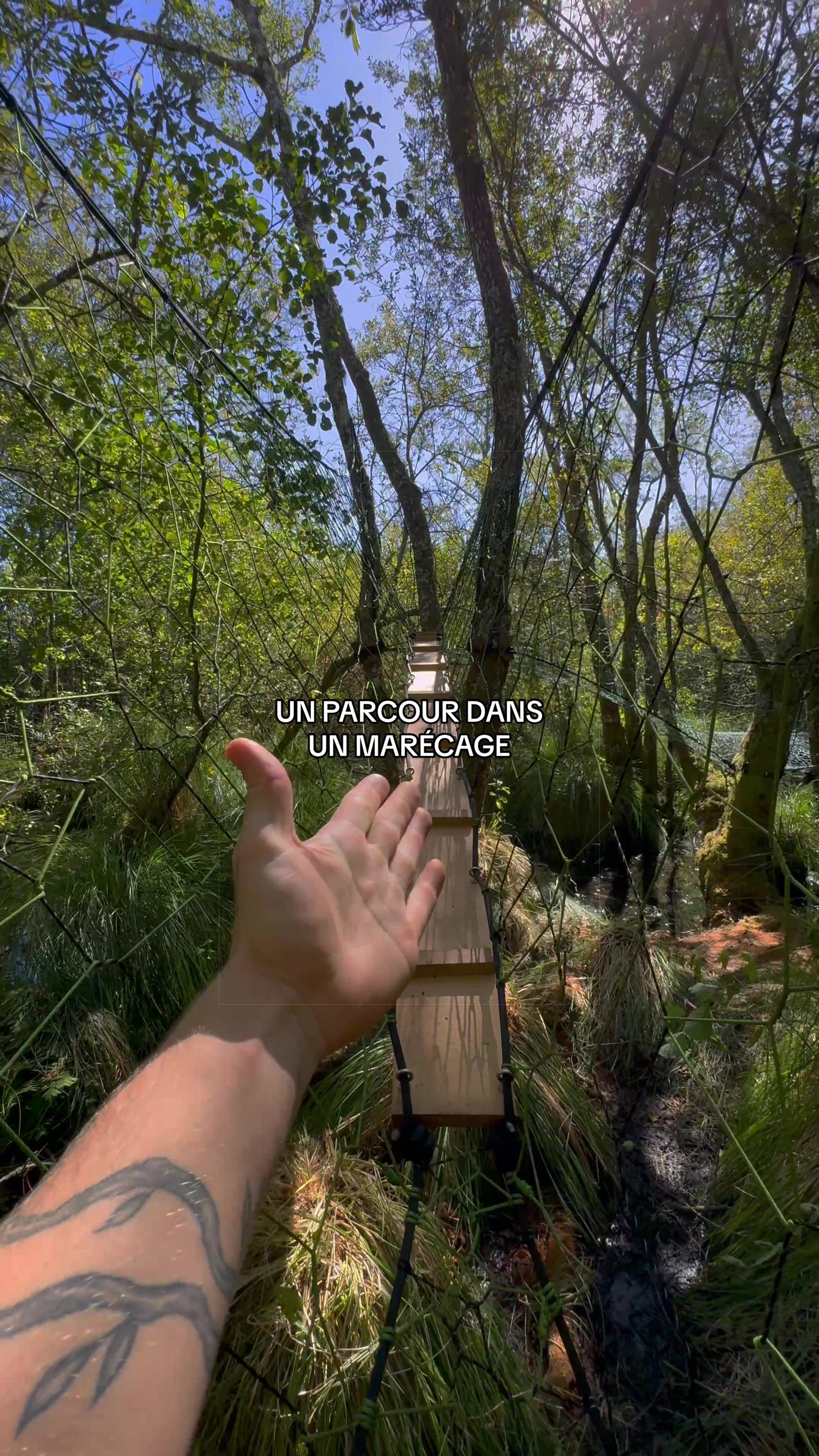 @Wildtreenet