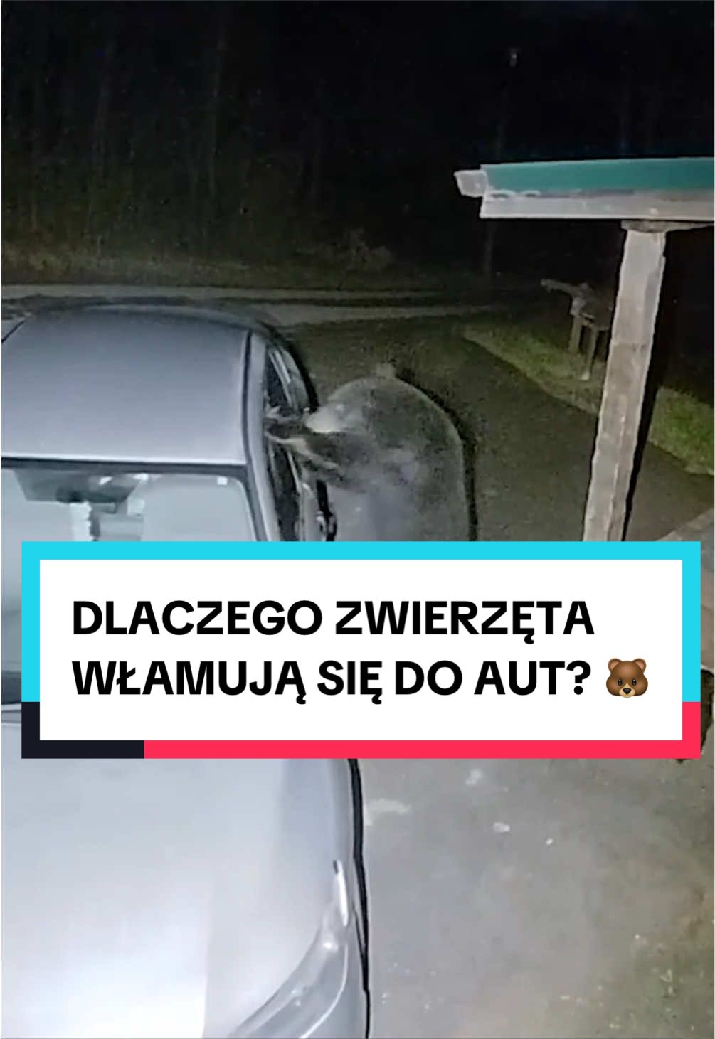 @pandawojtekyt