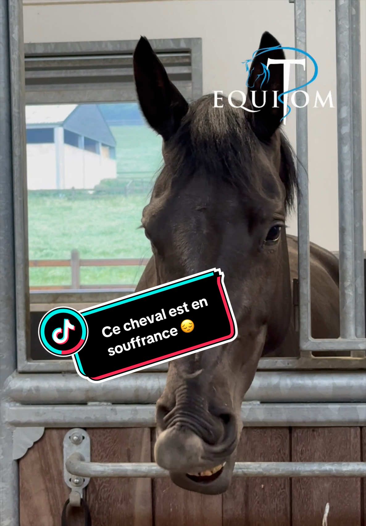 @Equitom