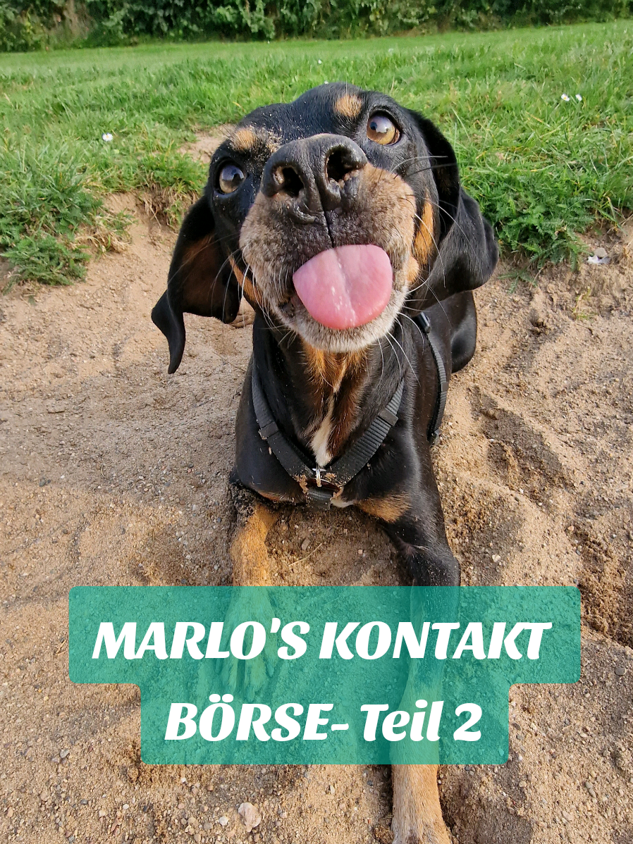 @K&ouml;nig Kack & Prinzessin Pipi👑