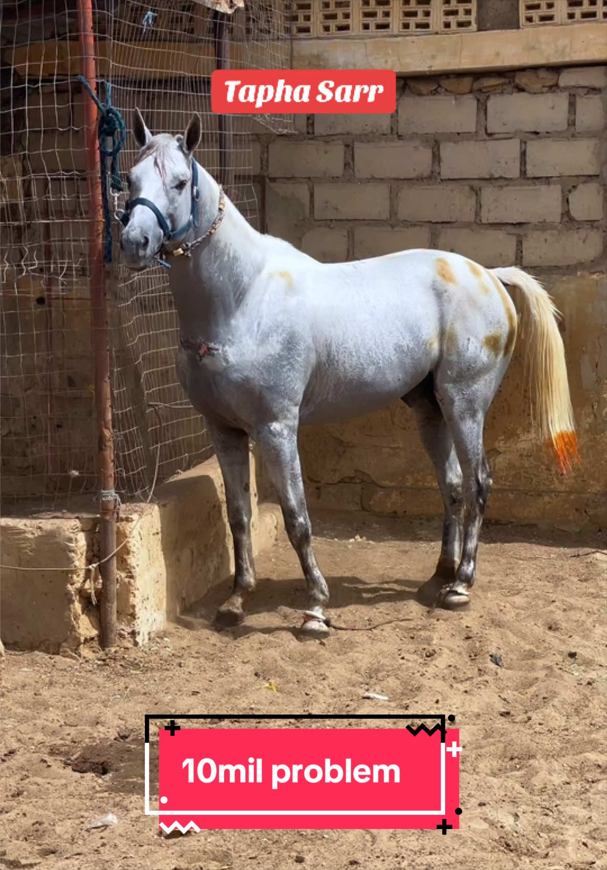 @10milproblem