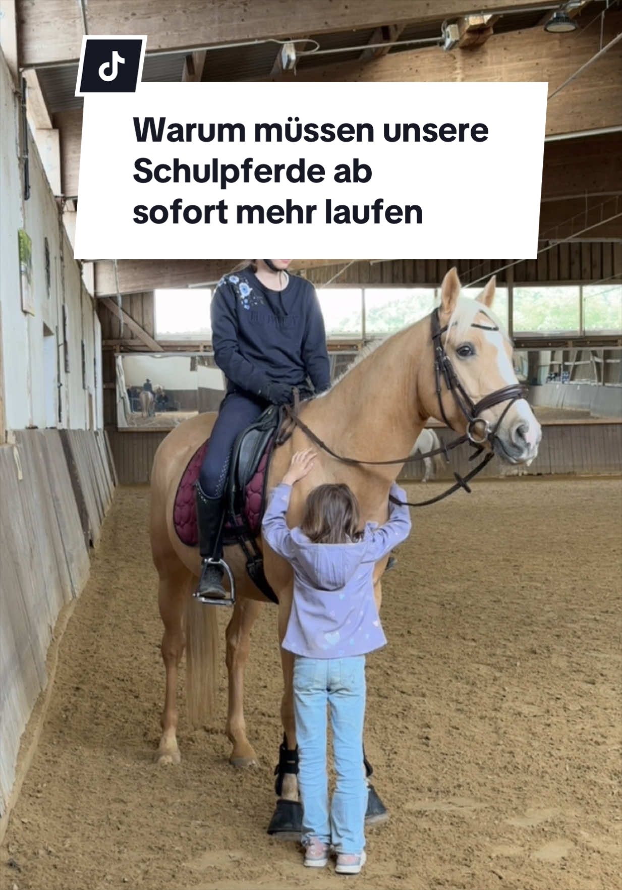 @Sophia &bull; SL Reitschule