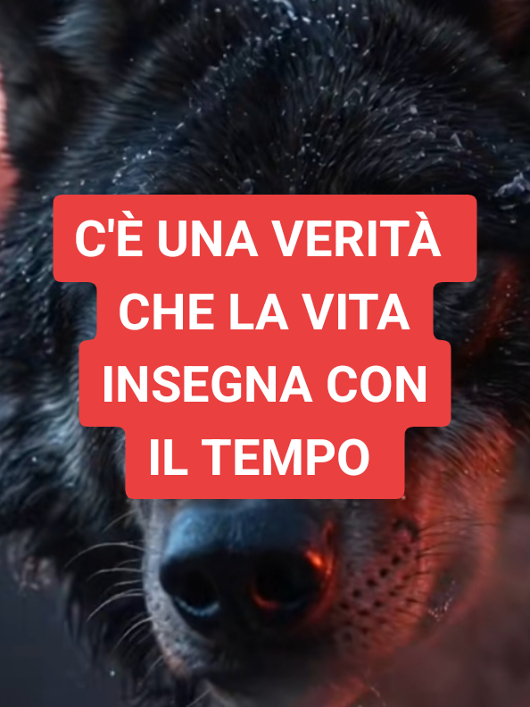 @ALESSANDRO_IL_ROMANO