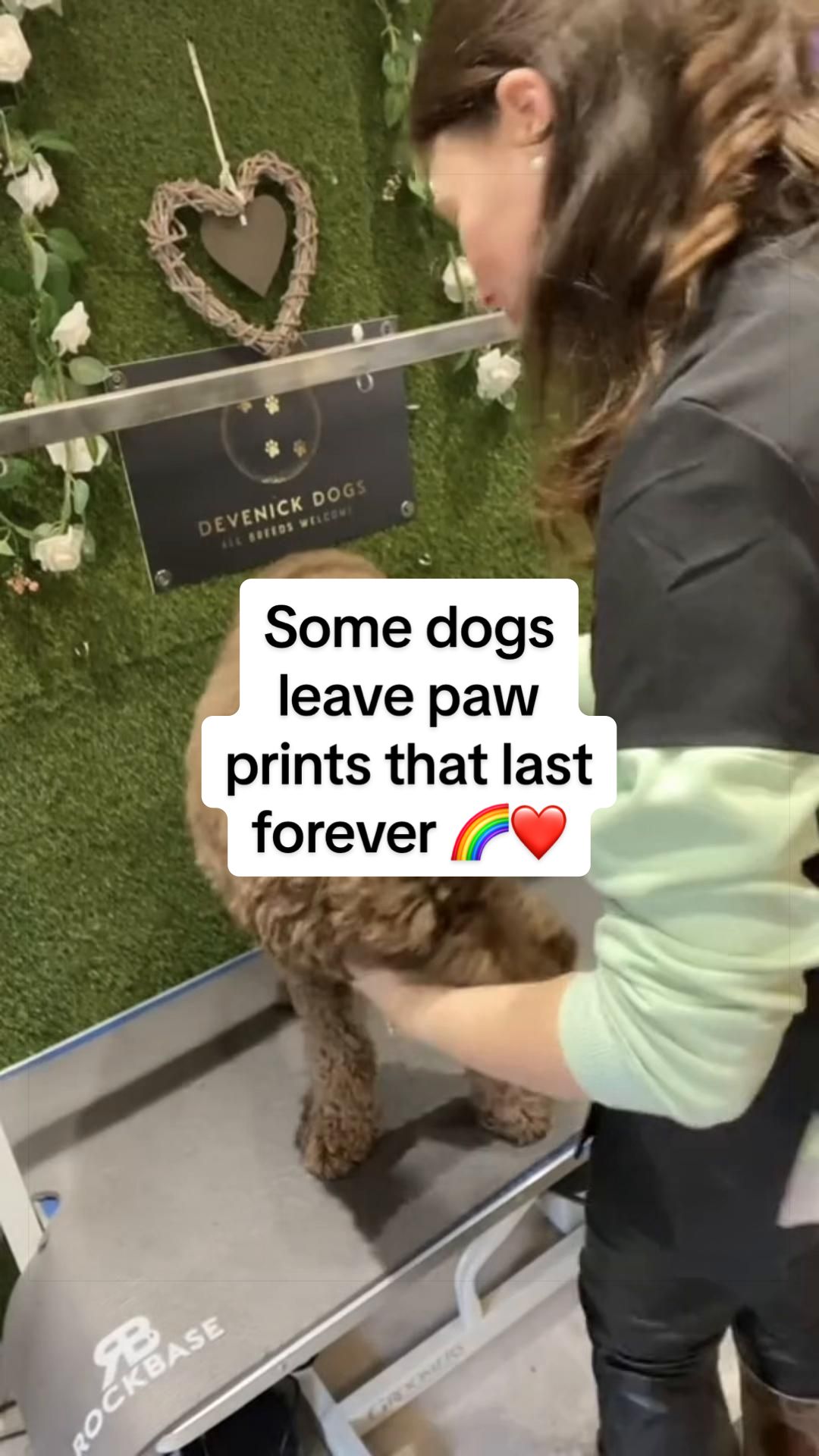 @DevenickDogs
