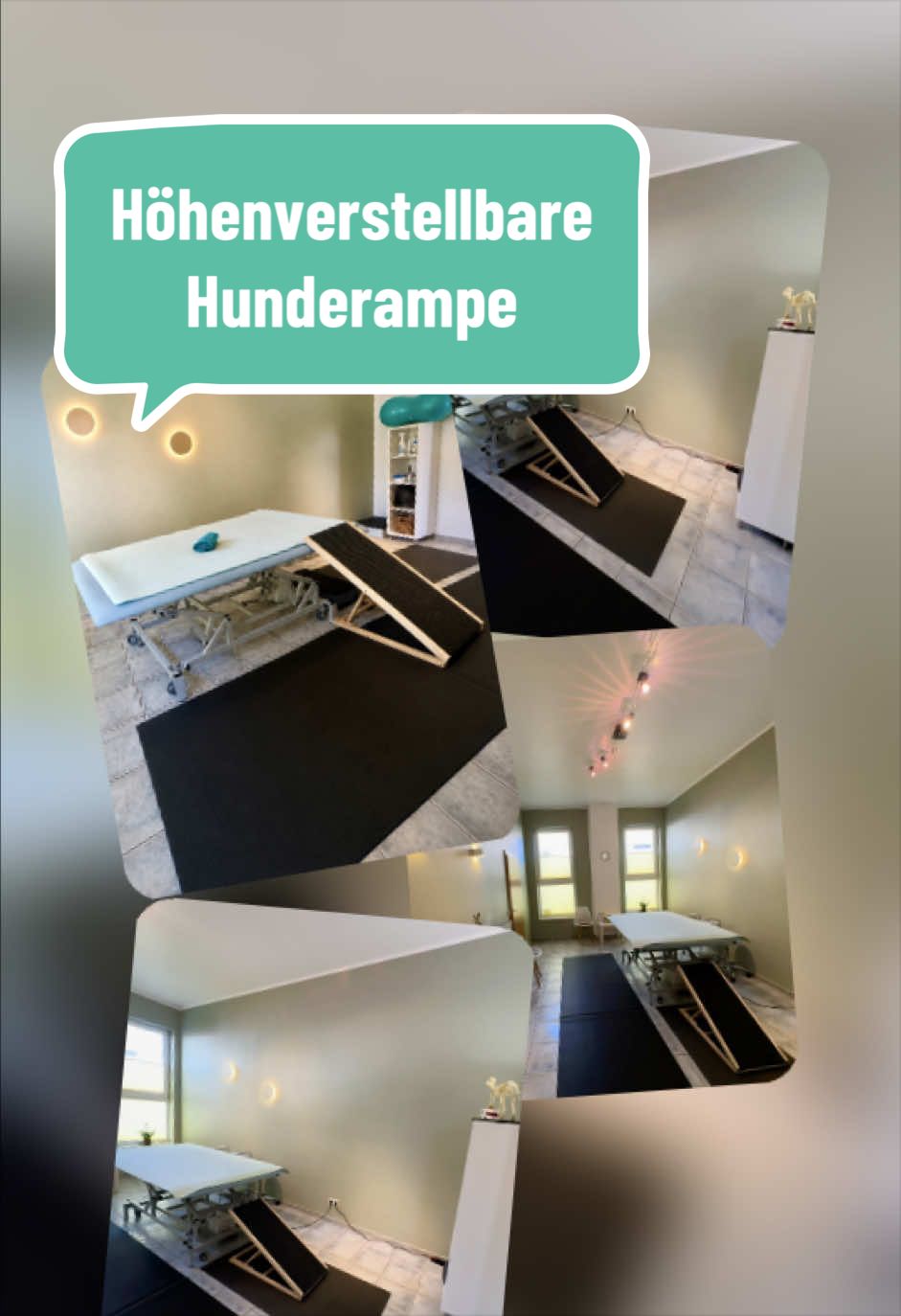 @Pferdephysiotherapie InTakt