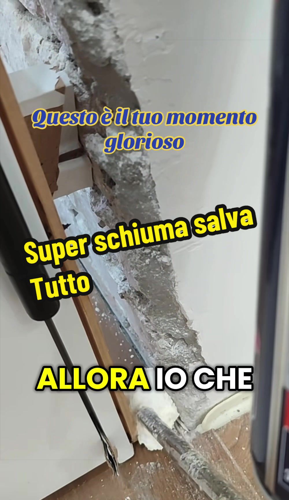 @Alessandro Cuomo ♌️
