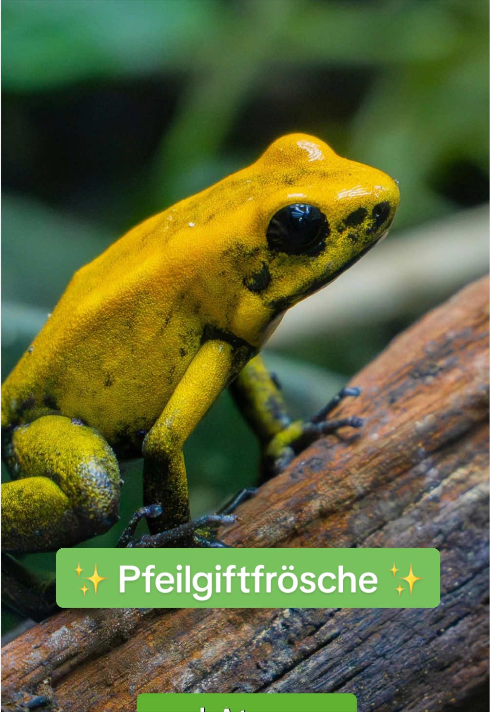 @Biosph&auml;re Potsdam