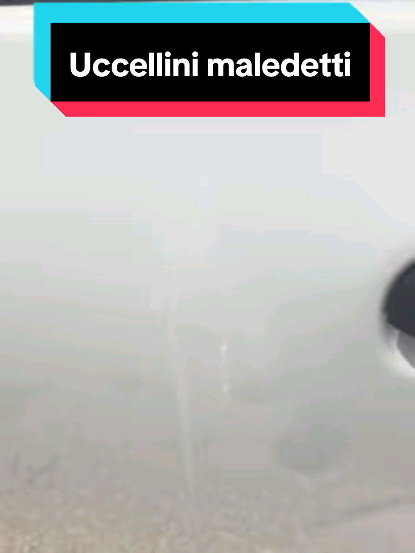 @LUCA SEMPLICE