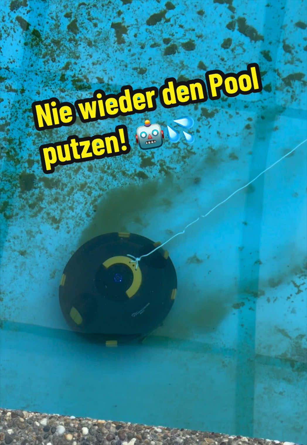 @Vivi bewegt sich