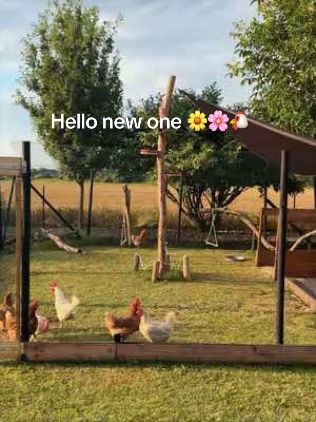 @lenahijabi 🩰