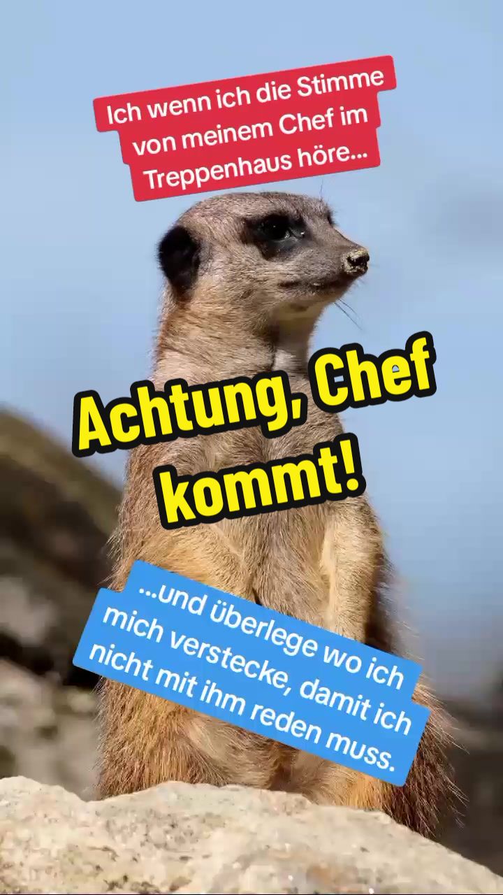 @LustichOder