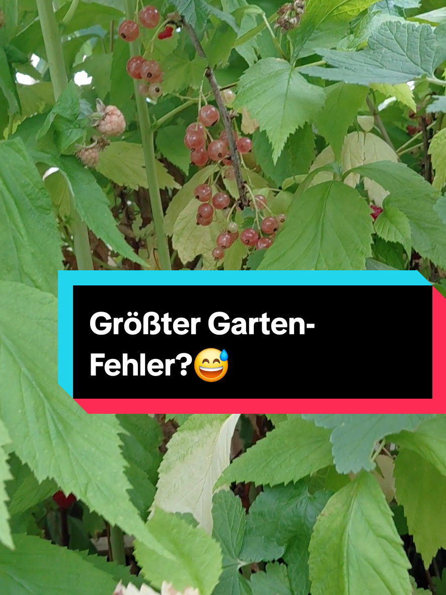 @Gartenchaos