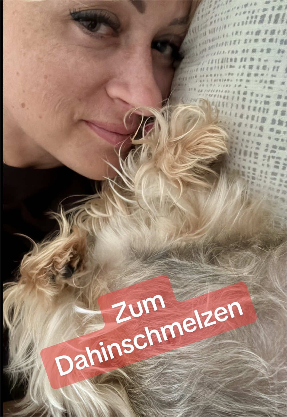 @MeineYorkieVibes