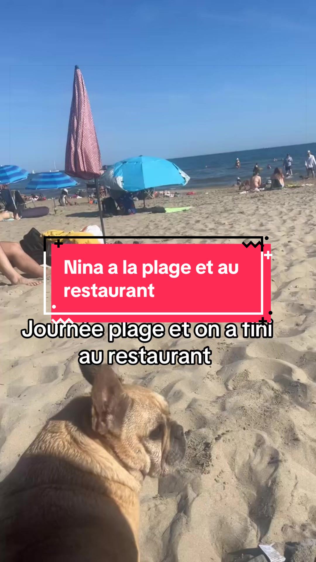 @les aventures de Nina