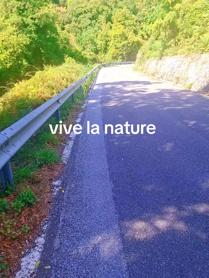 @falerna
