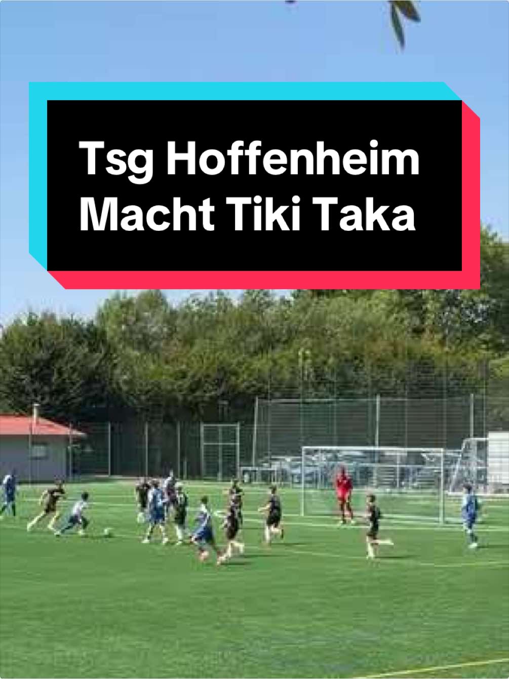 @Felician_Talentcoach