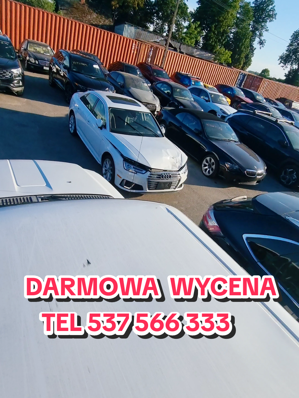 @Marcinzmotoleader
