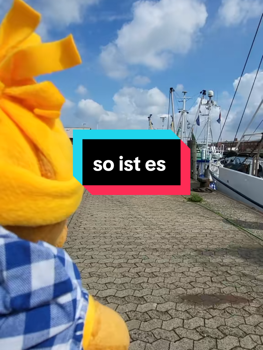 @Frank"s Reisen TeamBrunoFrank