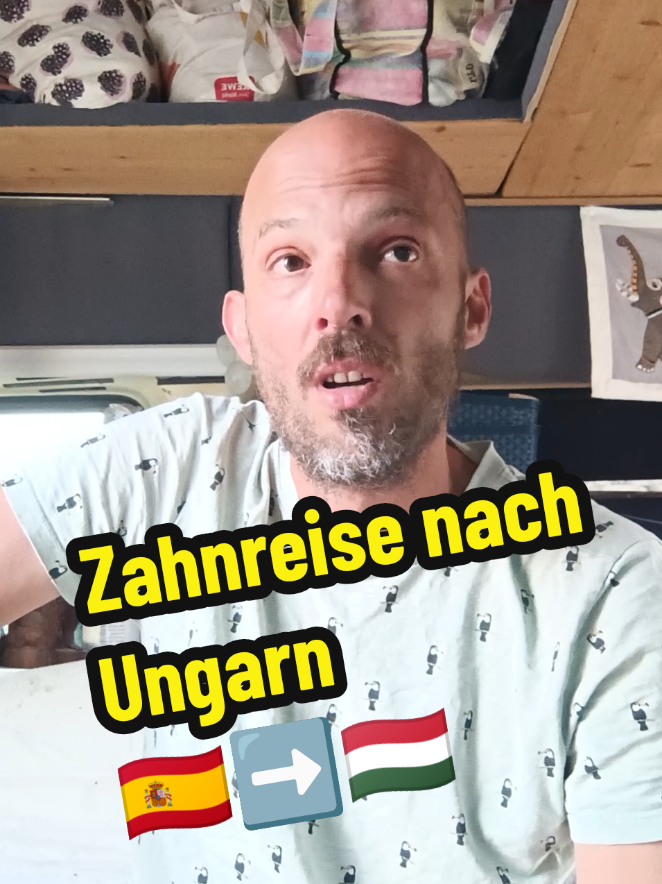 @berndout