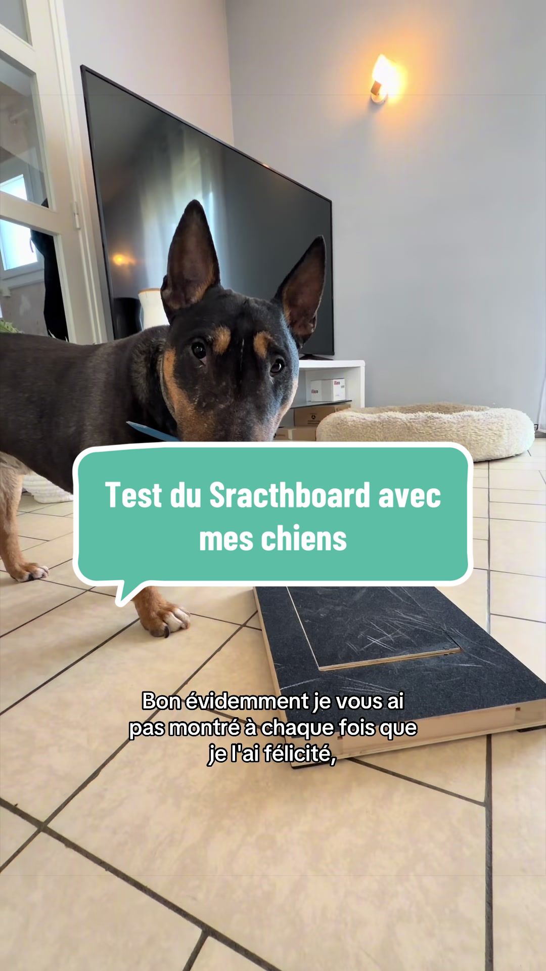 @Mathilde & ses animaux🌼